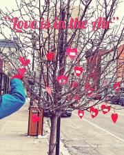 Volunteers with the Monroe Downtown Revitalization Committee hung 250 hearts in the trees along Lake Street on Saturday as part of its Love is in the Air promotion. Each heart offered a chance to win a prize from local businesses.