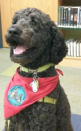 Therapy dog Rocket has been visiting the Monroe Free Library since 2018.