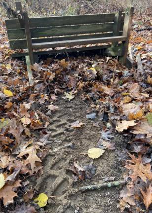 The letter writer said that on a recent weekend, one of the last remaining benches at Cascade Lake Park was intentionally destroyed by a full-size vehicle that left clear tire treads, proving the source of the bench’s demise. Photo provided by Deborah Young.