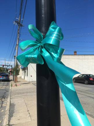 During September, National Ovarian Cancer Awareness Month, volunteers all over the country tie teal ribbons in their towns, city centers and neighborhoods. “Turn The Towns Teal” is a national campaign which seeks to raise awareness about ovarian cancer. The campaign is underway in the Town of Monroe as well as in the Villages of Monroe and Harriman.