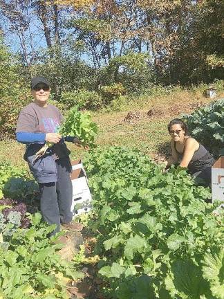 On Oct. 20, four volunteer gleaners picked 920 pounds of carrots at J&amp;A Farm in Goshen. The carrots were distributed to emergency food providers in Middletown, Newburgh, Port Jervis and Florida.