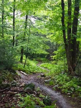 Provided photo The New York-New Jersey Trail Conference and New York State Parks will open of a seven-mile multi-use single-track trail loop at Sterling Forest State Park on Sunday, Sept. 30