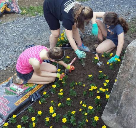Monroe Cadette Troop 388 plants marigolds donated by Laura Ann Farms.