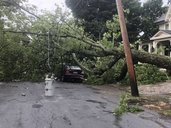 Photo courtesy of Larry Miri Tree down on Third Street in the Village of Warwick