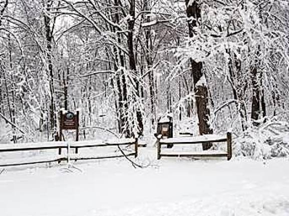 The snow also canceled the Friends of Sterling Forest hike scheduled for Dec. 5.