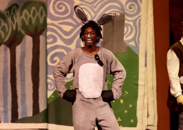 Grayson Joseph was perfect as the humorous Donkey.