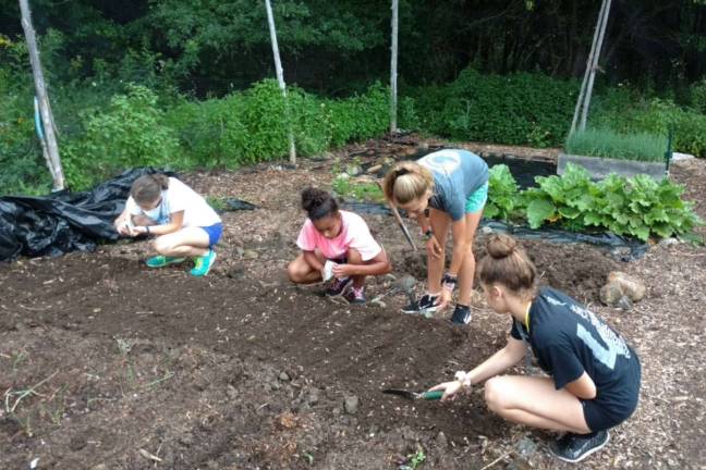 Photos provided by Dawn Tomasini During their mission work last summer to upstate Warrensburg, young people from St. Paul Lutheran Church created a garden to help provide a free, consistent food source for those in need.