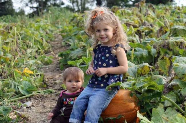 Provided photo Wright Family Farm in Warwick is one of the premier pumpkin patches in Orange County.