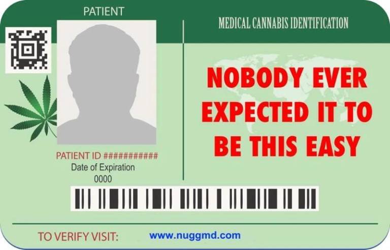 $!Here’s Your Online Ticket to a New York Cannabis Certificate