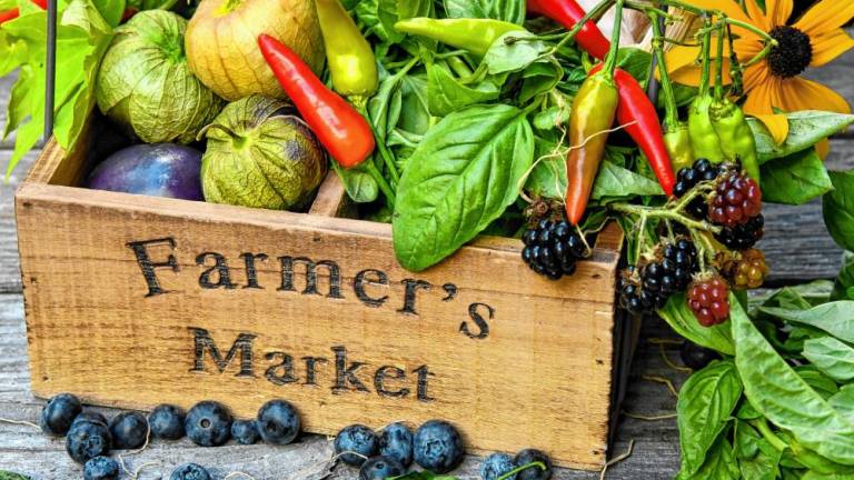The market includes produce, plants, wine, baked goods, meat and dairy products, and much more!