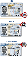 Comparison of standard, REAL ID and Enhanced identification.