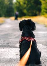 Area public lands used by fall hunters and hikers