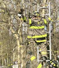 The cat was rescued by Woodbury firefighter Connor Sheehan.