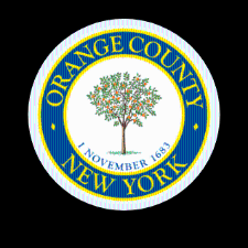 Orange County Legislature District 21: Election results