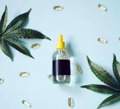 The New York State Office of Cannabis Management has launched the “Higher Education” statewide campaign to give New Yorkers easy access to evidence-based cannabis education. Photo illustration by Alesia Kozik via pexels.com.