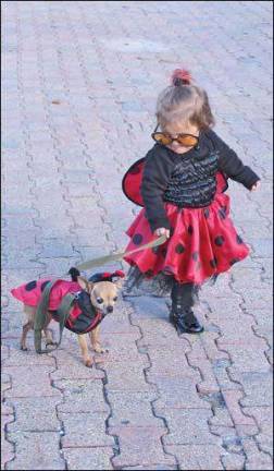The Lady bug and her dog
