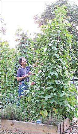 Organic gardening lecture is tomorrow