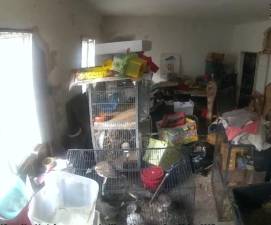 Monroe woman charged in animal cruelty case