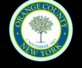 Two candidates vie for District 5 seat on Orange County Legislature