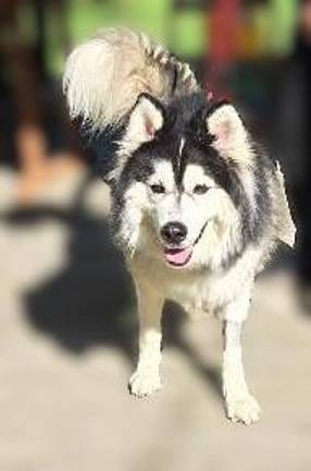 Meet Oddy - again!