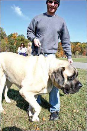 These pups strut their stuff to benefit the shelter