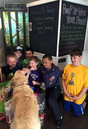 Bear Cubs meet Tomas, the Golden Retriever