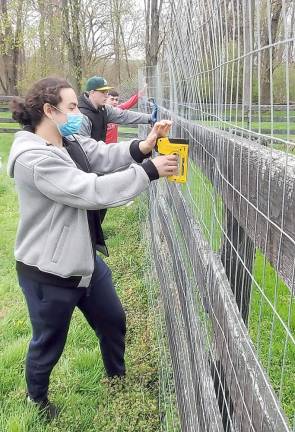 Chabad teens learn how to reinforce a fence at the Pardess Chabad Farm.