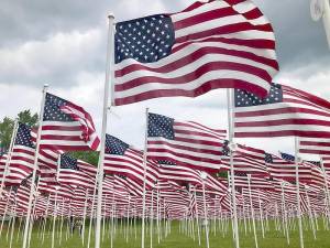 Monroe to fly Flags for Heroes