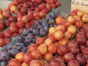 Farmers market not returning for 2026 season