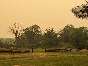 Local towns blanketed in smoke