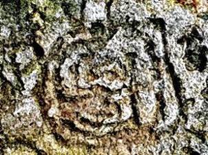 An example of a petroglyph find.