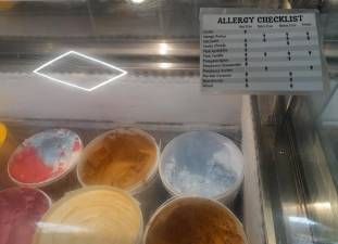 Hudson’s Ice Cream opened on Route 32 in Central Valley in December with an ice cream menu with options that are either gluten free, dairy free, nut free or vegan.