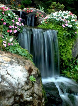 A backyard waterfall.