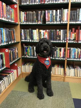 Rocket the Service Dog, owned by Cliff Berchtold, will be one of the celebrity pups at the Monroe Free Library's Howl-O-Ween Canine Costume Contest on Oct. 26.