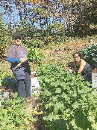 On Oct. 20, four volunteer gleaners picked 920 pounds of carrots at J&amp;A Farm in Goshen. The carrots were distributed to emergency food providers in Middletown, Newburgh, Port Jervis and Florida.