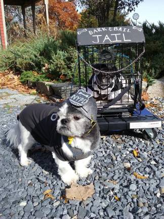 Expect to see Penny and Rocky, owned by Ceil Hunter, in their Halloween police costumes, at the Monroe Free Library's Howl-O-Ween Canine Costume Contest on Oct. 26.