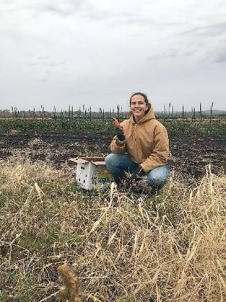 The Cornell Cooperative Extension’s Gleaning Program volunteers harvested 325 pounds of produce to be distributed to food pantries and soup kitchens.