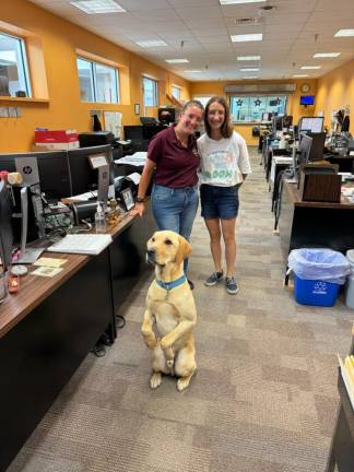 Sheriff’s Office introduces new health and wellness pup K-9 Yoda