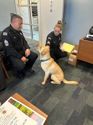 Sheriff’s Office introduces new health and wellness pup K-9 Yoda