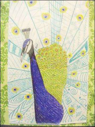 Bird of Many Feathers