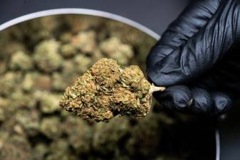 Woodbury cannabis dispensary debate returns