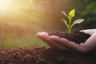 Soil is the foundation of your garden