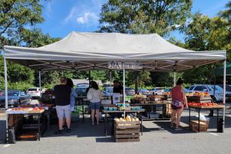 GWL Farmers market reopens in June: From chicken and Challamin buns to chair massage