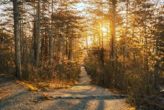 Take a hike New Year’s Day at Sterling Forest State Park