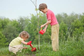 Conservation department holds spring seedling sale