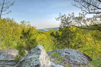 The Orange County Land Trust has announced the protection of 73 acres of forest near Greenwood Lake. The land was once part of Greenwood Forest Farms, the first African-American resort community in New York State.