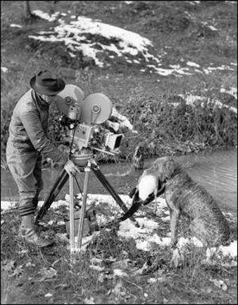 Monroe in the movies