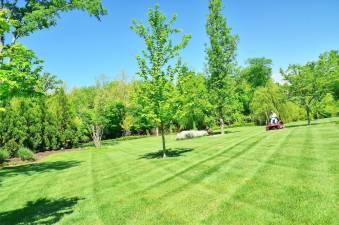 Lawn fertilizing laws and cautions