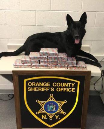 Justus with a big drug bust he helped sniff out.