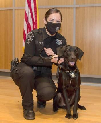 Officer MaryJo Manzo of the Orange County Sheriff’s Office has become the first female K-9 handler with her K-9 partner Davey. Photos provided by the Orange County Sheriff’s Office.